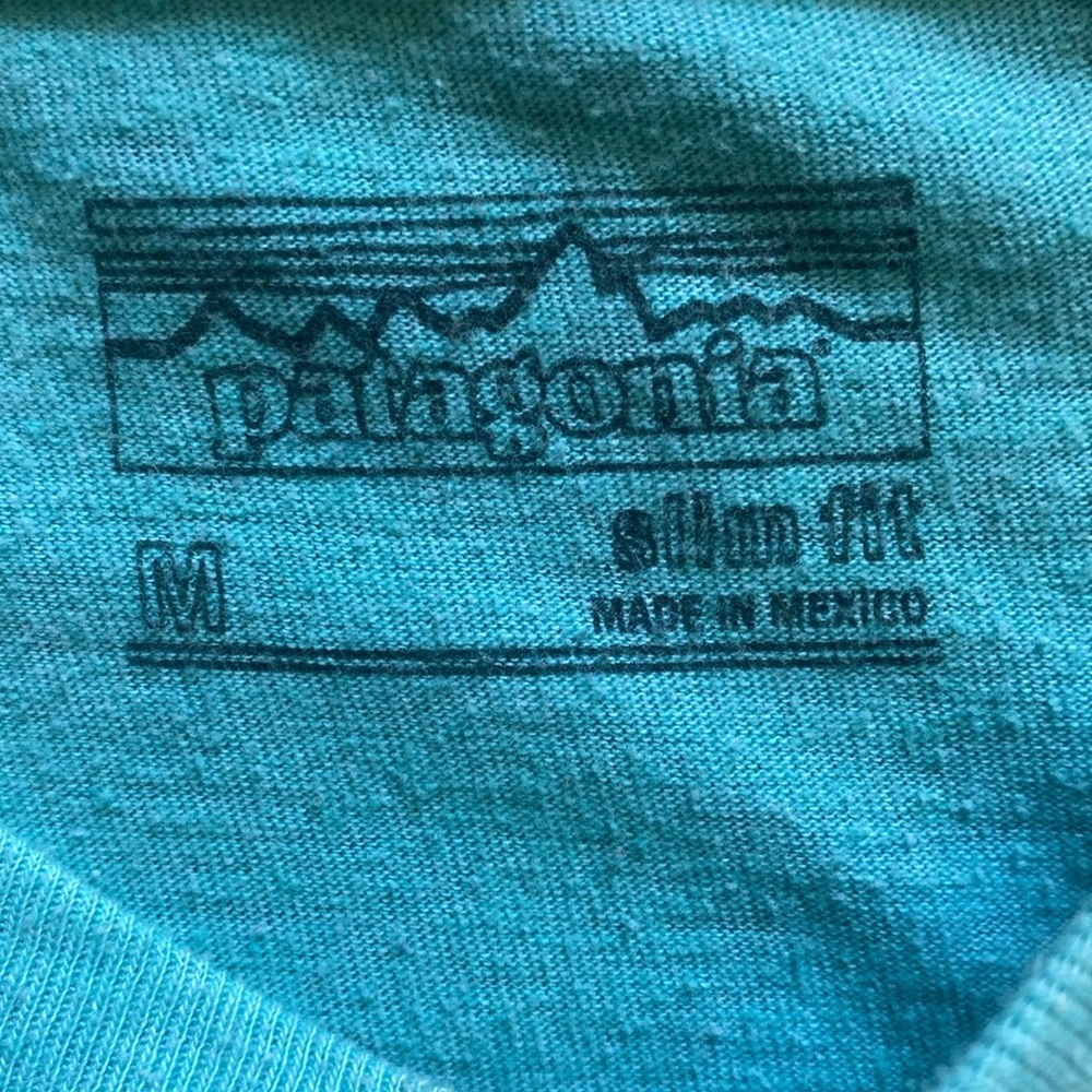 Patagonia Teal Graphic Tee - Picture 4 of 4